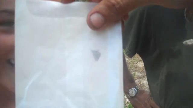 UWE Cuba (HD Edit) - Tropical Forest and Coral Reef Research Expedition смотреть онлайн