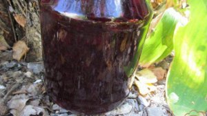 Маринованный терен