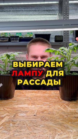 Основные характеристики фитоламп