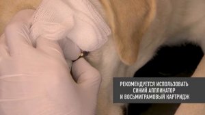 Freezpen: Лечение опухолей век у животных