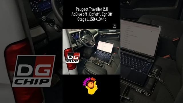 Отключение мочевины Peugeot Traveller 2.0 Увеличение мощности.mp4