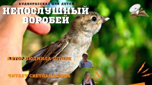 Непослушный воробей