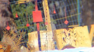 Ataman BP17 Review and Accuracy Test 50, 100 yards!