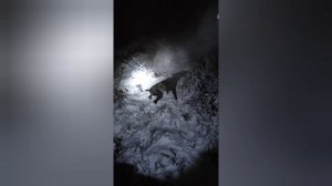 Охота на утку с курухааром