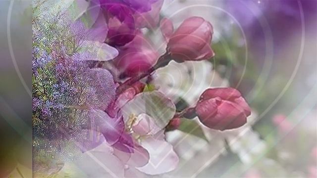 Домик , окнами в сад смотреть онлайн