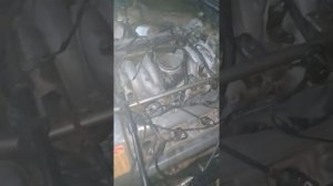 кабан стучит м119 4.2