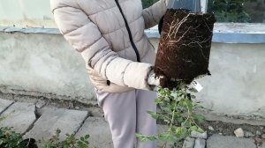 30 апреля 2022 г.