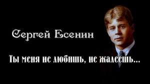 Сергей Есенин — Ты меня не любишь, не жалеешь  Стих