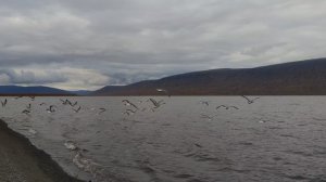 Видео с тура река Северная