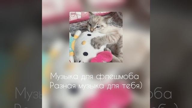 музыка для флешмоба