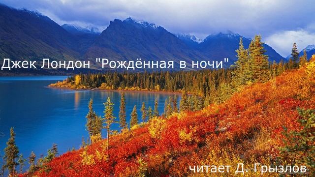 Джек Лондон "Рождённая в ночи". Читает Дмитрий Грызлов