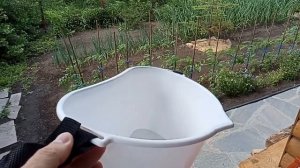 Мой первый в жизни сбор ягод! Успех на стройке! Меня нельзя пускать в огород - нервы не выдержали!