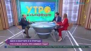 Змея в квартире и в природе: что нужно знать про символ года?