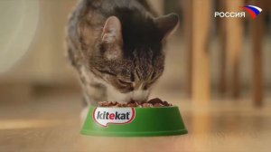 Реклама и начало Лунтик (Россия, 29.09.2019)