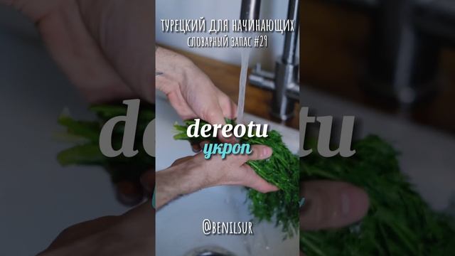 🇹🇷 5 турецких слов за 15 сек. Зелень #турецкийязык #турецкийдляначинающих #турецкийсловарь