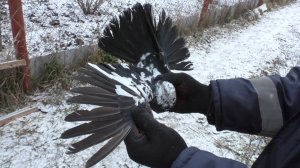 Кому лететь - те летят.