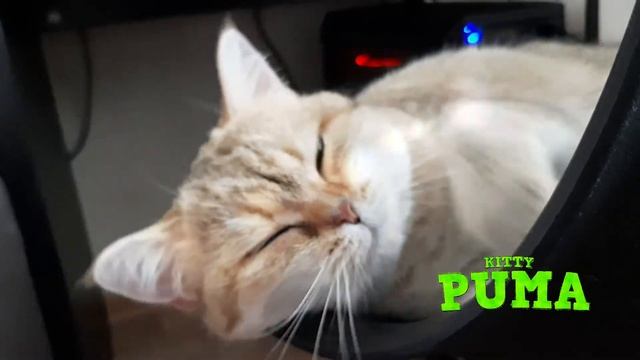 Много дел сегодня (A lot to do today) смотреть онлайн