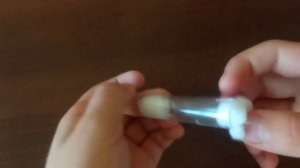 Колония  муравьев Lasius Flavus с нуля #1