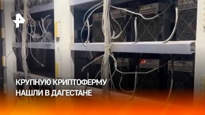 Крупную криптоферму накрыли в Дагестане / РЕН Новости