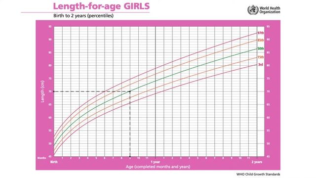 WHO Length-for-Age Percentile Growth Charts- English - смотреть видео ...