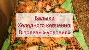 Холодное копчение рыбы в полевых условиях балык