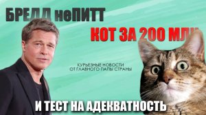 как развели мошенников и кто продает кота за 200 млн???