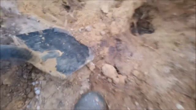 Охота на енотов расшир смотреть онлайн