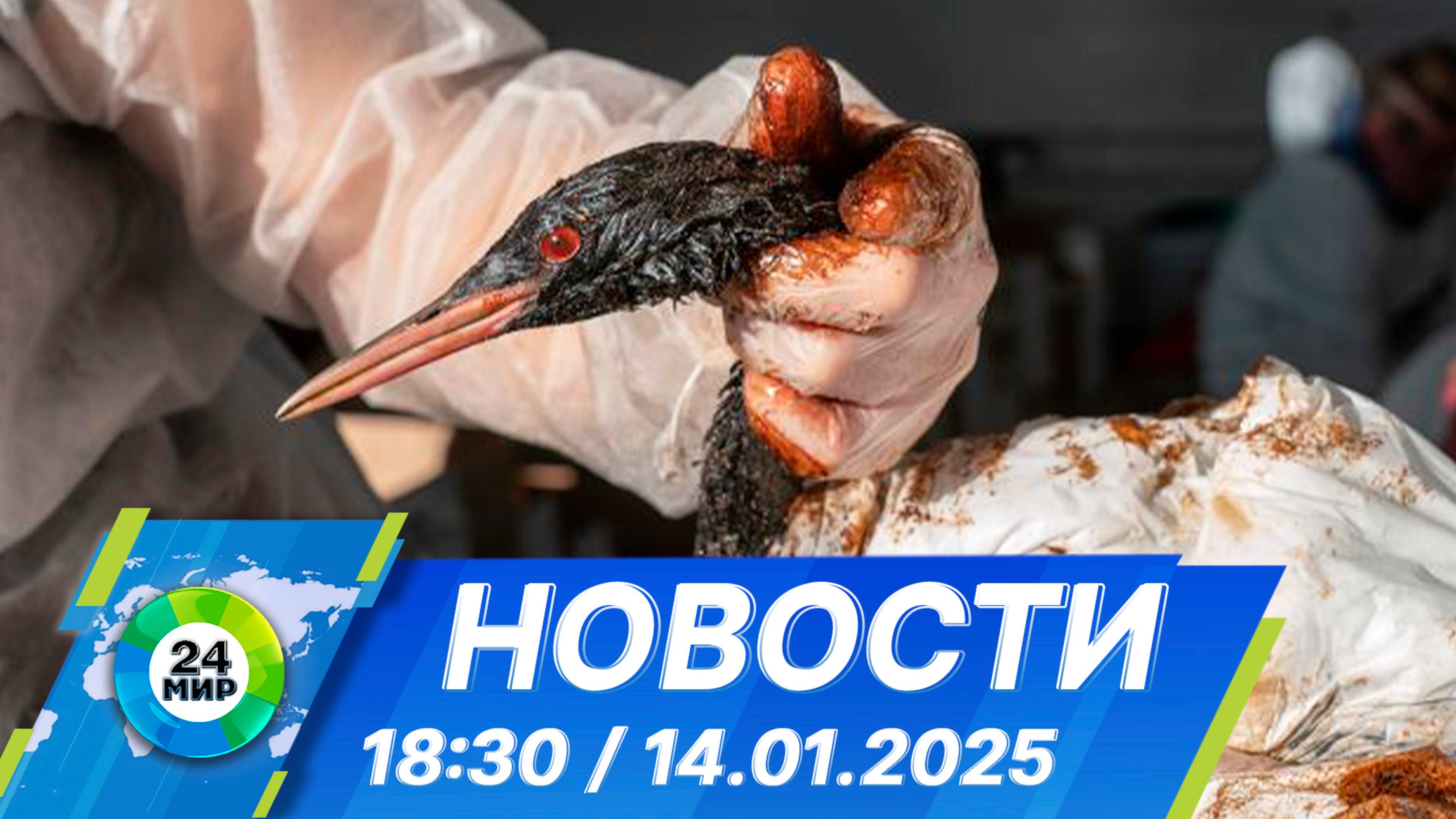 Новости 18:30 от 14.01.2025