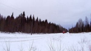 Лойгинская УЖД / Тепловоз ТУ8-0542 с порожняком