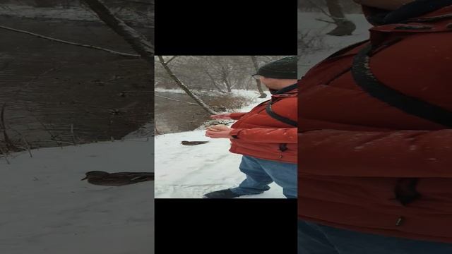 Вся правда и ложь о глобальном потепление с научной точки зрения