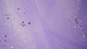 Физика 9 класс Пёрышкин § 24 Работа силы