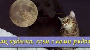 Тоненькие нити