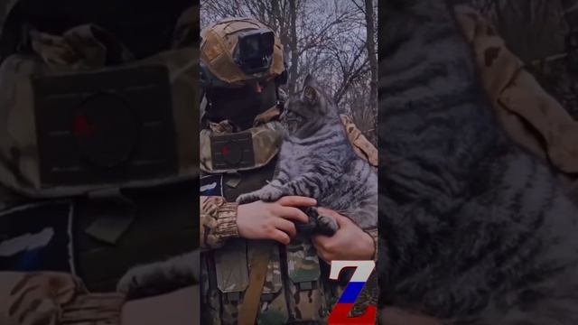 🇷🇺💪🇷🇺НЕМНОГО МИЛОТЫ ВАМ В ЛЕНТУ! НАШИ ВОИНЫ САМЫЕ СМЕЛЫЕ! САМЫЕ ДОБРЫЕ!♥️