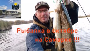 щука на воблер в октябре 2024 на реке Самарка