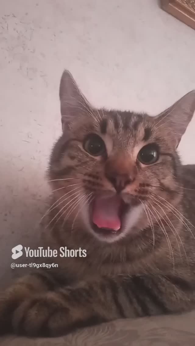 дыши смотреть онлайн