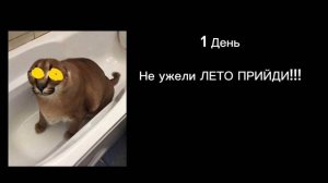 До лета осталось Шлёпа