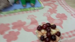 Басики в летнем лагере "Лапка" 🙂