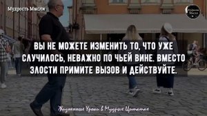 Жизненные Уроки в Мудрых Цитатах, Которые Помогут Решить 93% Проблем! Мудрость Мысли
