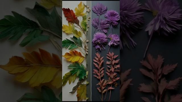 Гербарий смотреть онлайн