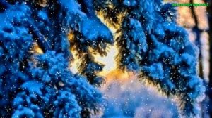 Истории из  жизни.  Чем по курортам Аудио рассказы,  Жизненные истории