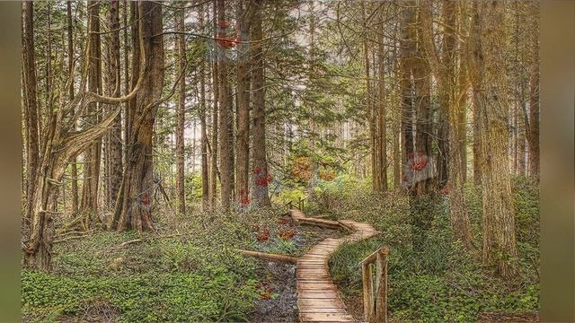 Не пойму смотреть онлайн