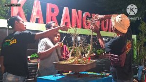 Edukasi Dan Demo Bonsai Bersama Sedulur PPBI Cabang Sukoharjo