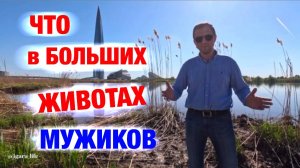 Мужское ожирение - всё, что нужно знать.