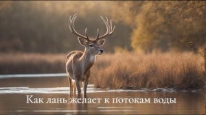 Аллилуйя, Адонай, "Как лань желает"