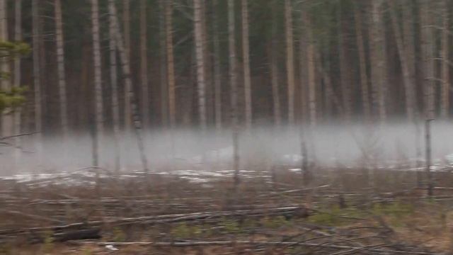 Остановочная платформа 787 километр от Москвы.MVI 0302 смотреть онлайн