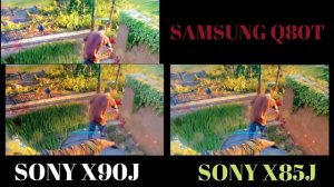 Sony X90J vs Sony X85J | Sony X90J TV Review | Samsung Q80T vs Sony X90J | Samsung Q80T vs Sony X85