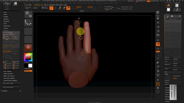 Как изогнуть палец в ZBrush