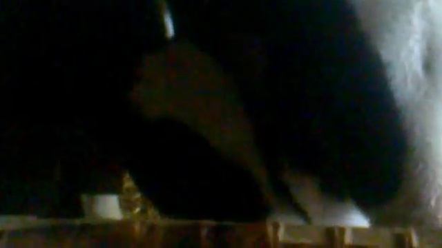 Телята целуются.mp4 смотреть онлайн