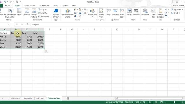 Microsoft Excel 2013/2016 pt 9 (Pie/Column Chart, Pivot Table)