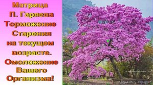 Матрица П. Гаряева №5 Торможение Старения на Текущем Возрасте /Полная версия/ Омоложение Организма/